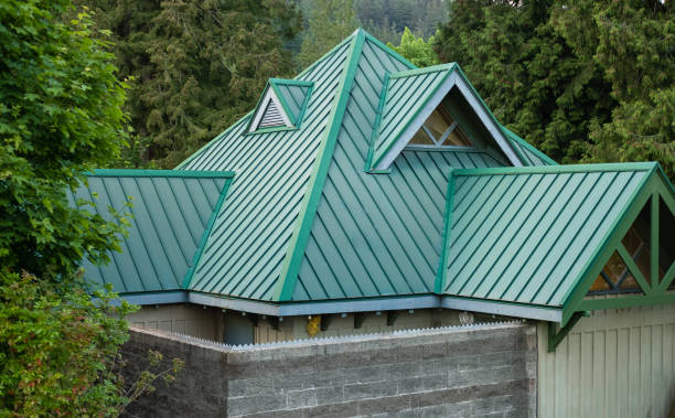 Best Storm Damage Roof Repair  in Bassett, VA
